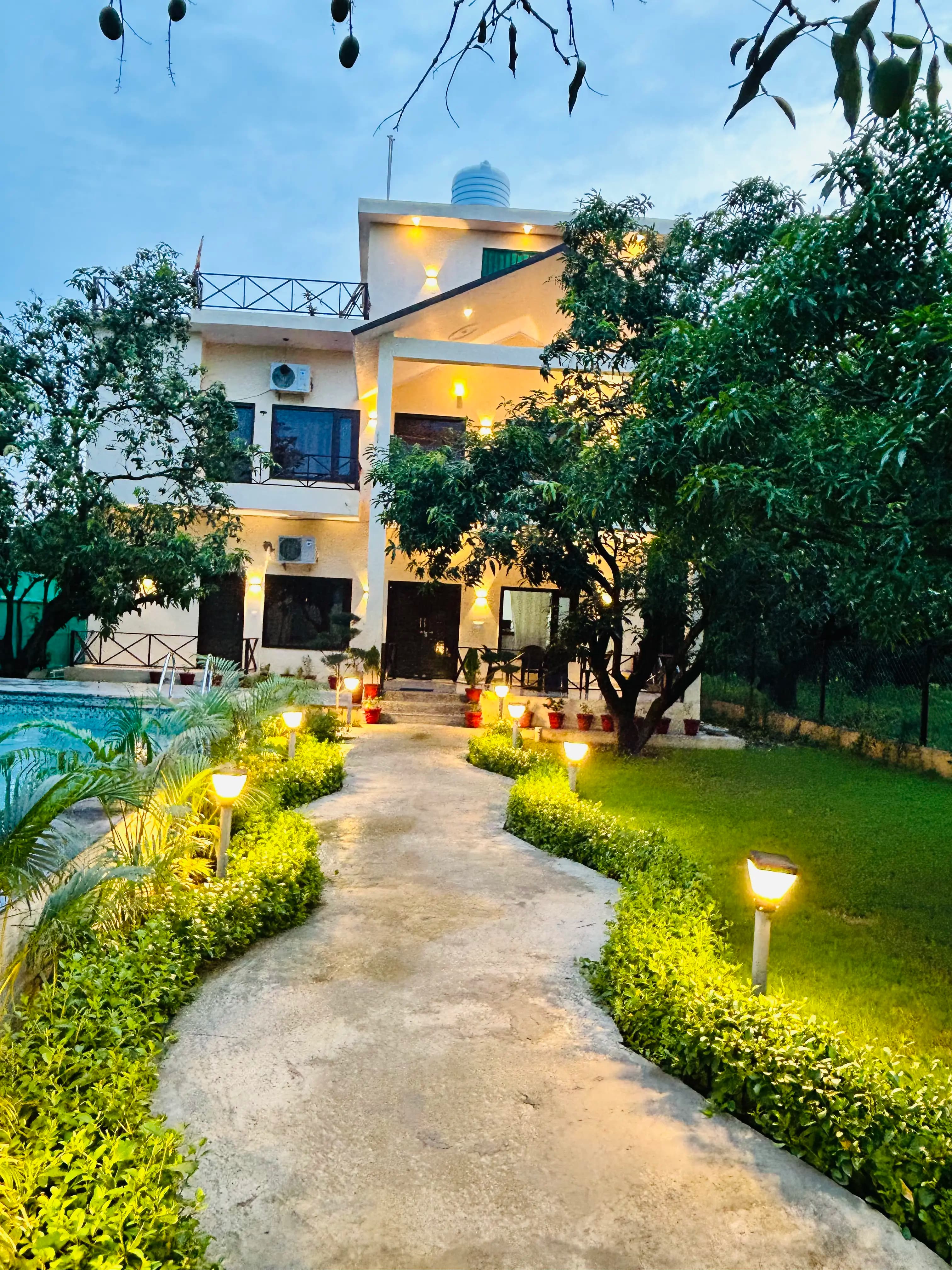 Spacious and Open garden area with lush greenery.